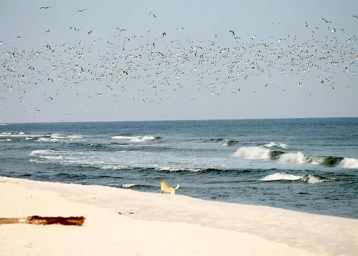 54° Nord 2 Grömitz